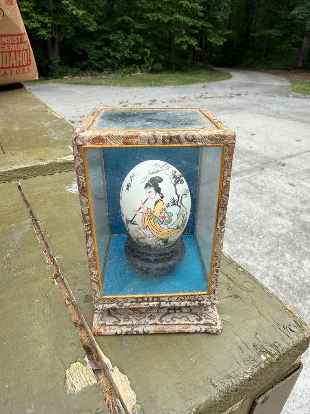Vintage Chinese Hand Painted Egg Shell In Case